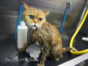 10665854_10152286258972204_4930762893931633322_n