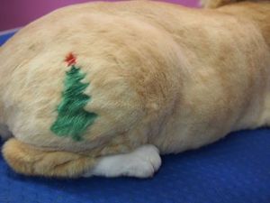 1463919_10151791741662204_264680284_n