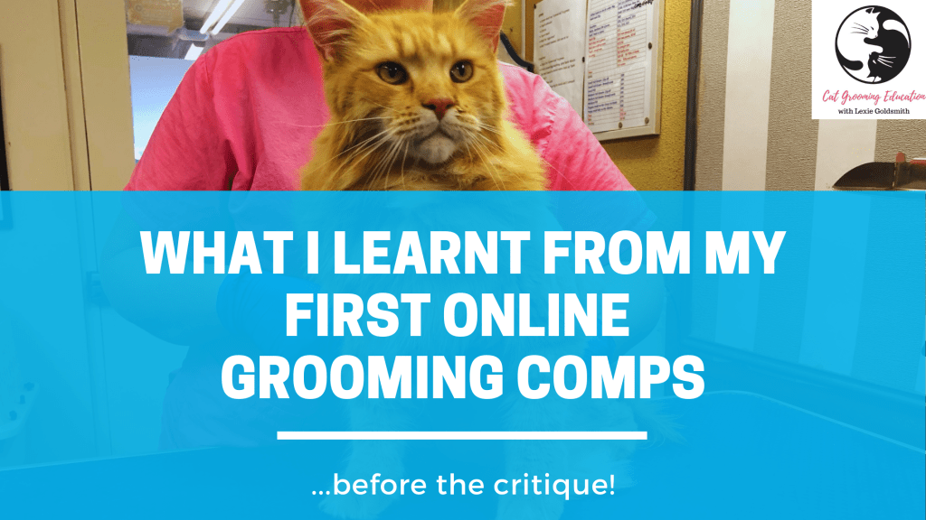 What I learnt from my first online Grooming&nbsp;Comps!
