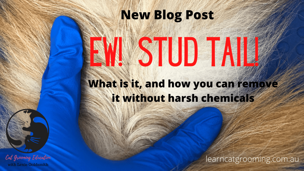 Stud tail- Ew!