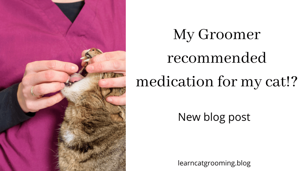 My Groomer recommended medication for my&nbsp;cat?!
