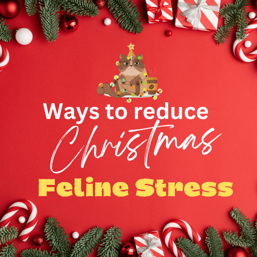 Ways To Reduce Christmas Feline&nbsp;Stress