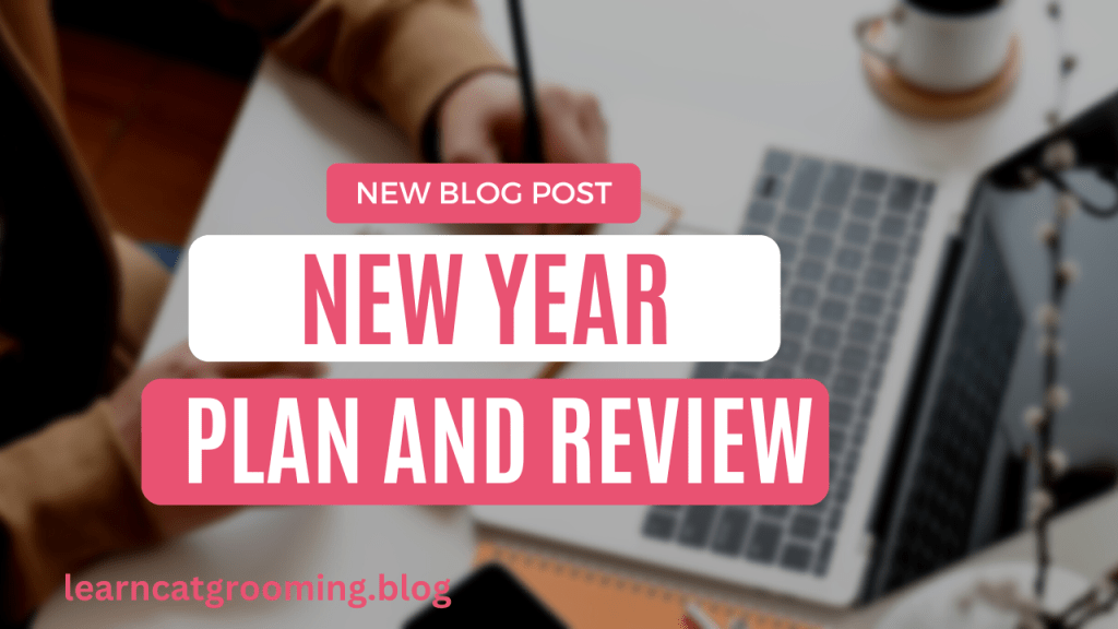 New Year Plan and&nbsp;Review