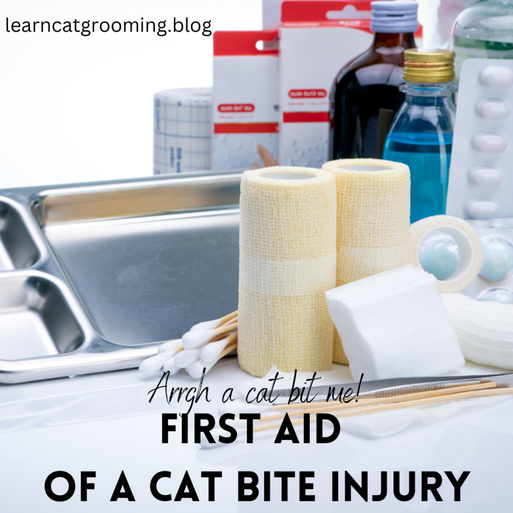 First Aid for a Cat Bite Injury