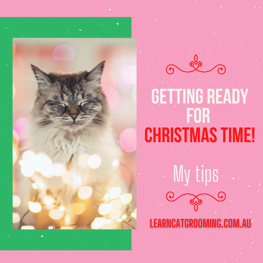 Getting ready for Christmas Time!