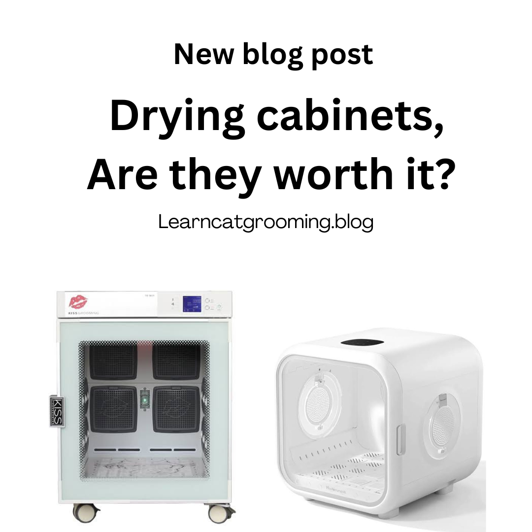 Cat Drying Cabinets: Are they worth it?