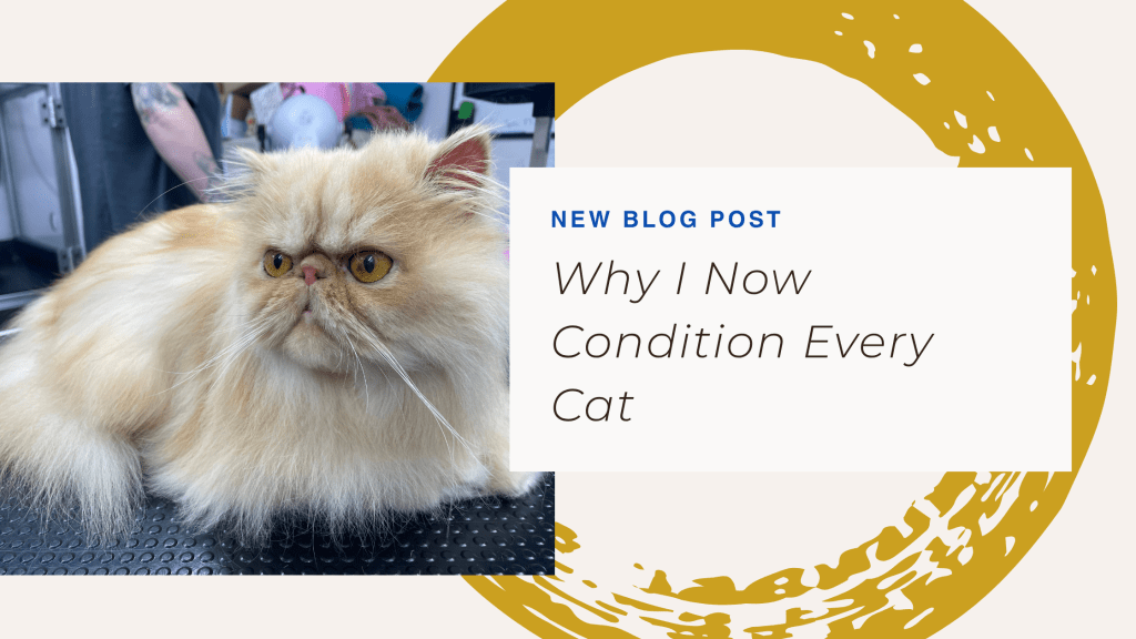 Why I Now Condition Every&nbsp;Cat